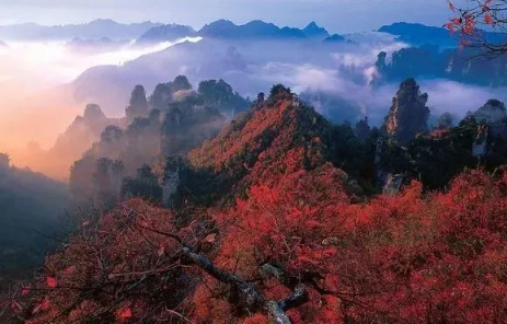 张家界自由行好还是跟团(张家界自驾还是跟团好)