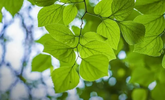 2022年下半年会干旱吗(今年下半年会干旱吗)