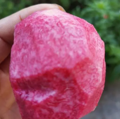 血桃没熟果肉是不是白的(血桃肉是红色还是白色)