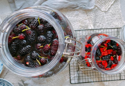 桑葚泡酒的正确方法(桑葚泡酒有什么功效和作用)