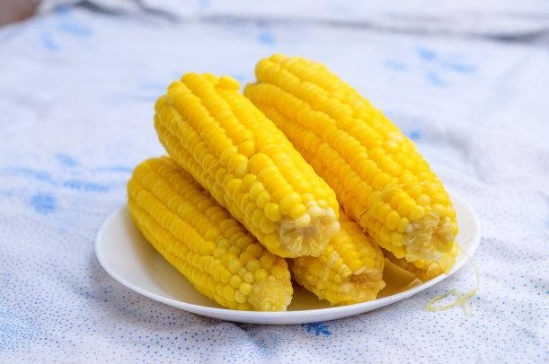 玉米煮多久会熟透(玉米煮多久能熟)