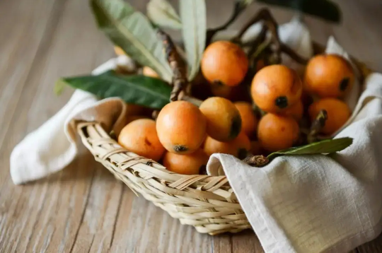 枇杷可以放冰箱保鲜吗(枇杷可以放冰箱冷藏)