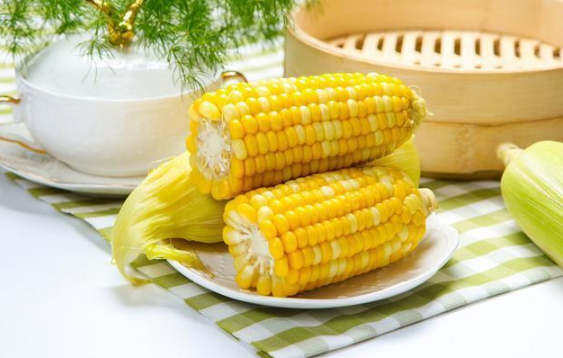 玉米煮多久会熟透(玉米煮多久能熟) 玉米煮多久会熟透(玉米煮多久能熟)