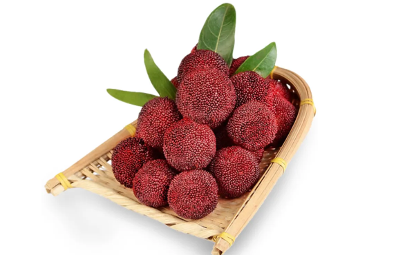 杨梅先洗再冷冻还是先冷冻吃再洗(杨梅放冰箱冷冻要洗吗) 杨梅先洗再冷冻还是先冷冻吃再洗(杨梅放冰箱冷冻要洗吗)