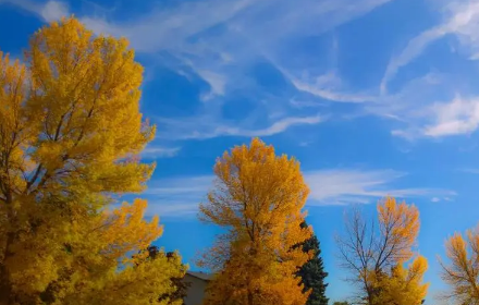 秋老虎是什么节气什么时候2022(秋老虎是什么季节)