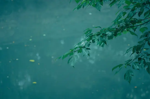 2022年下半年雨水多不多(2020年下半年雨水是多还是少)