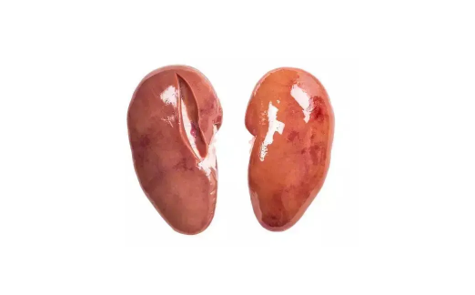 腰子是哪个部位(猪腰子是哪个部位)