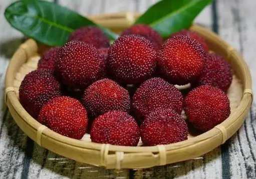 杨梅冻着好还是不冻好(杨梅冰冻还是冷藏)