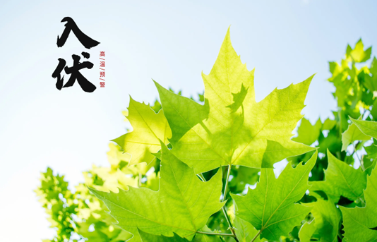 2022年三伏天是几号开始几号结束(2020年三伏天是几号开始几号结束)