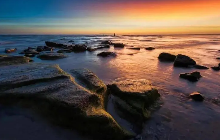 涠洲岛适合七八月去吗(涠洲岛七月初去合适吗)