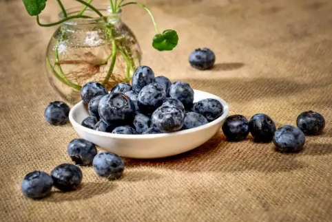 蓝莓表面的白霜是花青素吗(蓝莓外层的白霜)