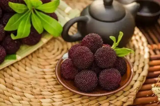 冰冻杨梅怎么吃比较好(冷冻的杨梅怎么吃) 冰冻杨梅怎么吃比较好(冷冻的杨梅怎么吃)