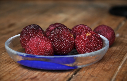 杨梅不泡盐水吃了会怎么样(吃杨梅没有用盐水泡怎么办)