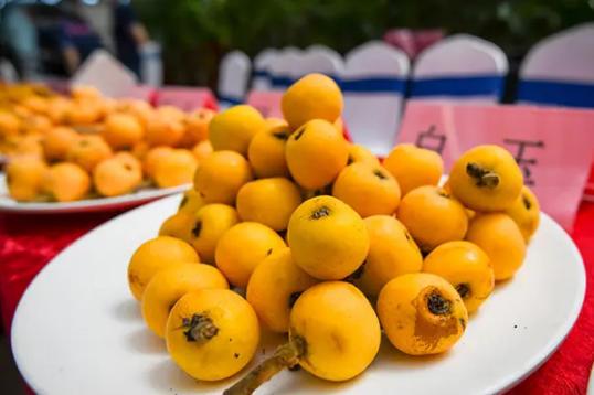 枇杷可以放冰箱保鲜吗(枇杷可以放冰箱冷藏) 枇杷可以放冰箱保鲜吗(枇杷可以放冰箱冷藏)