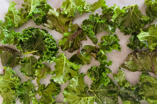 羽衣甘蓝中国叫什么(羽衣甘蓝俗称) 羽衣甘蓝中国叫什么(羽衣甘蓝俗称)