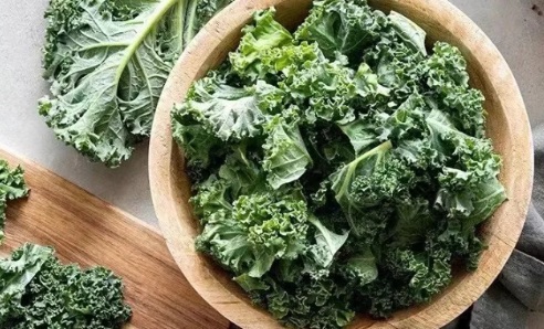 羽衣甘蓝粉和青汁哪个好(羽衣甘蓝粉好喝吗)