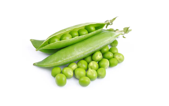 青豆的营养价值及功效禁忌(青豆 营养价值)