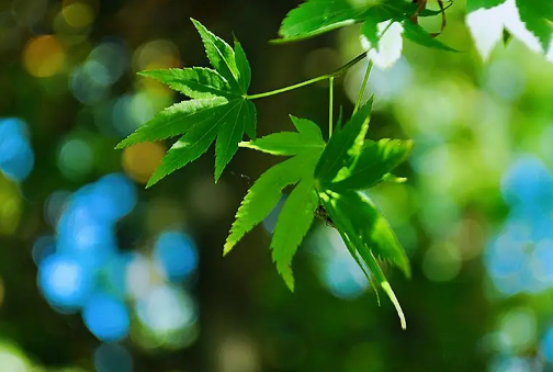 2022年下半年会干旱吗(今年下半年会干旱吗)