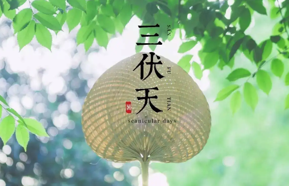 2022年三伏天共多少天(三伏天有多少天2020年)