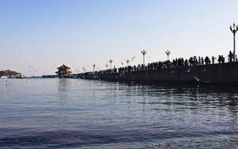 现在去青岛热不热6月最新(六月青岛热吗)