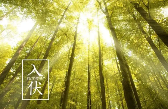 2022年入伏是几月几号几点几分(今年入伏时间几点几分2020)