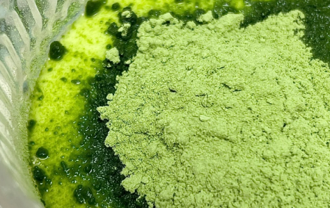 羽衣甘蓝粉喝的我便秘了怎么回事(羽衣甘蓝粉吃多了)