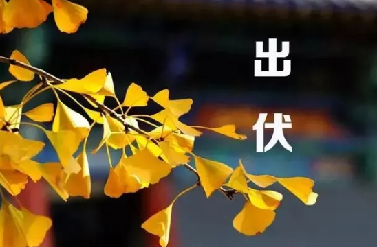 2022年入伏时间和出伏时间表(2022年入梅时间和出梅时间表)