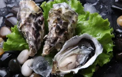 生蚝的做法蒸几分钟 生蚝的做法蒸几分钟