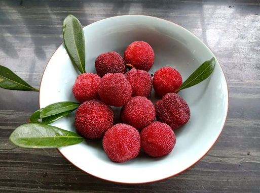 冰冻杨梅怎么吃比较好(冷冻的杨梅怎么吃) 冰冻杨梅怎么吃比较好(冷冻的杨梅怎么吃)