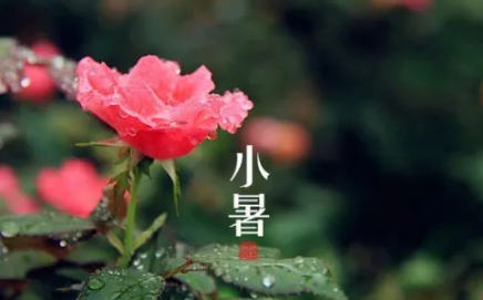 2022小暑节气起风好不好(小暑节气的气候)