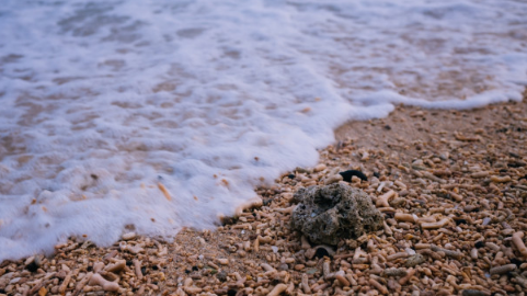 现在去涠洲岛热不热6月(涠洲岛7月会不会很热) 现在去涠洲岛热不热6月(涠洲岛7月会不会很热)