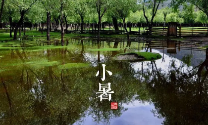 2022小暑节气起风好不好(小暑节气的气候)