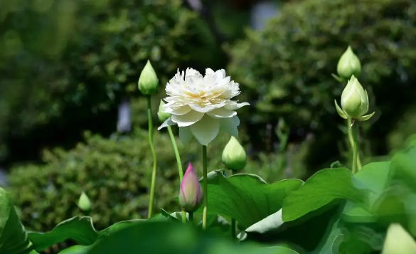 2022年下半年会干旱吗(今年下半年会干旱吗)