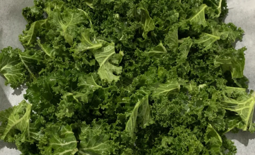 羽衣甘蓝中国叫什么(羽衣甘蓝俗称)