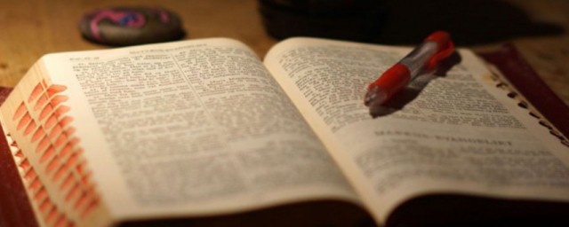 海豹人解释(说人是海豹)