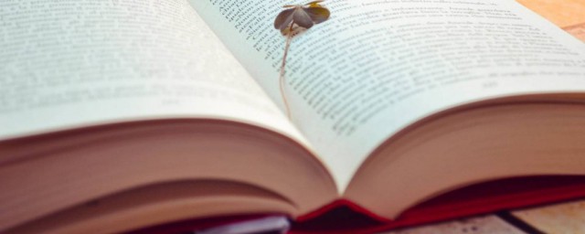 拥趸解释(趸拥者是什么意思)