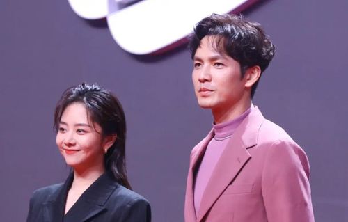 钟汉良和谭松韵演的电视剧，锦心似(钟汉良锦心似玉电视剧)