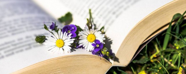 公主解释(小公主解释)