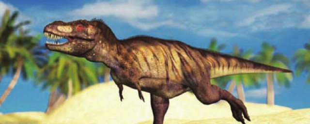 关于恐龙的知识(关于恐龙的知识英语)