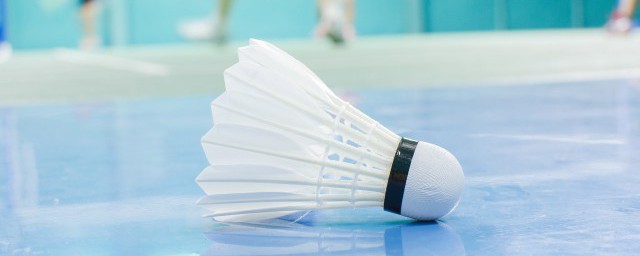 中国羽毛球奥运冠军都有谁(今年奥运会羽毛球运动员是谁)