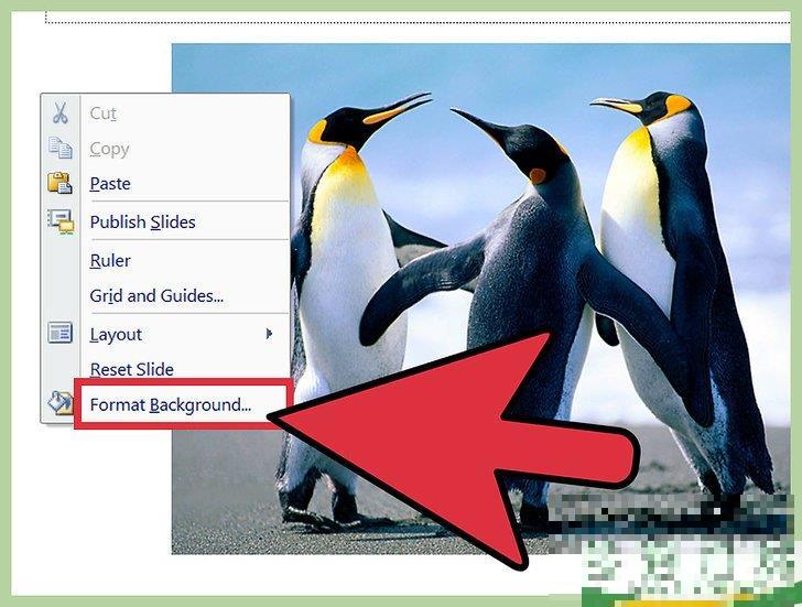 怎么用PowerPoint制作照片幻灯片(powerpoint2010制作幻灯片的基本步骤) 怎么用PowerPoint制作照片幻灯片(powerpoint2010制作幻灯片的基本步骤)