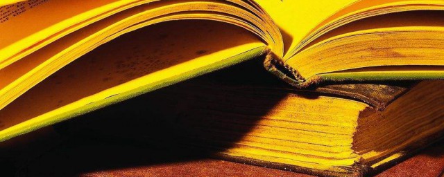 西红柿女孩解释(西红柿女孩儿)