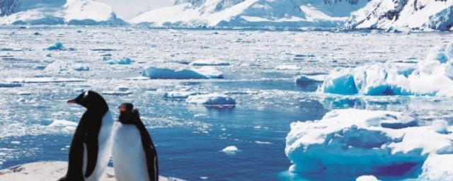 南极简单介绍(关于南极的知识简介)