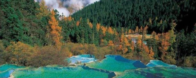 关于九寨沟的简介(介绍一下九寨沟)