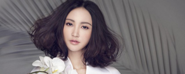 关于张歆艺的简介(张歆艺简介个人简历)