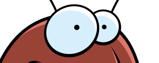 家里放什么绝对没跳蚤(家里面会有跳蚤吗)