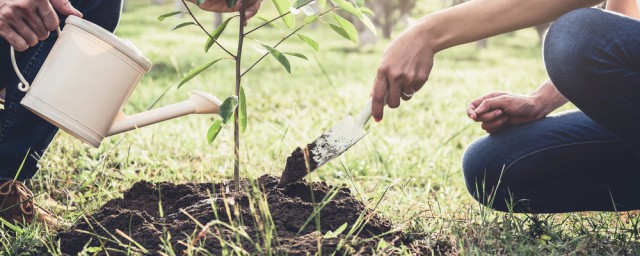 立德树人的重要性是什么(教育中立德树人的重要性)