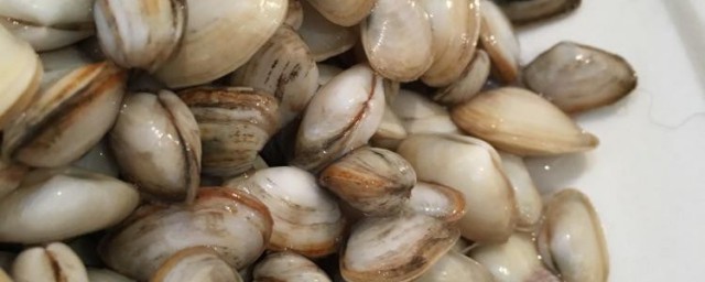 贝壳如何处理干净(贝壳如何清洗)