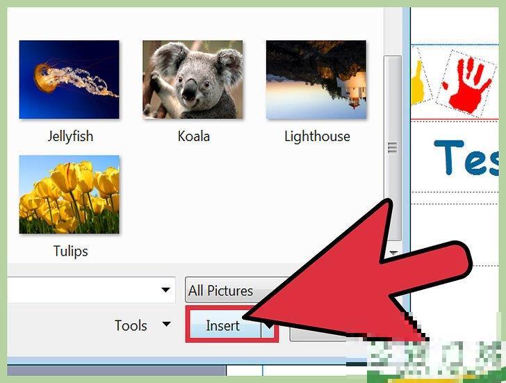 怎么使用Microsoft Publisher 怎么使用Microsoft Publisher
