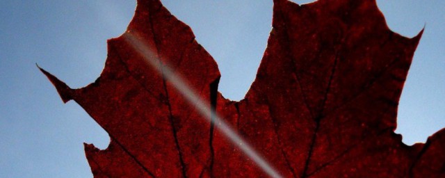 经典短语大全(经典短语句子)